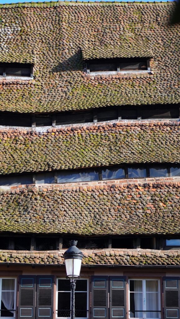 roof, bricks, old, historical, middle ages, architecture, roof tiles, roofing